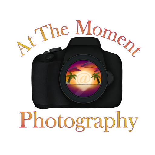 Logo for At The Moment Photography